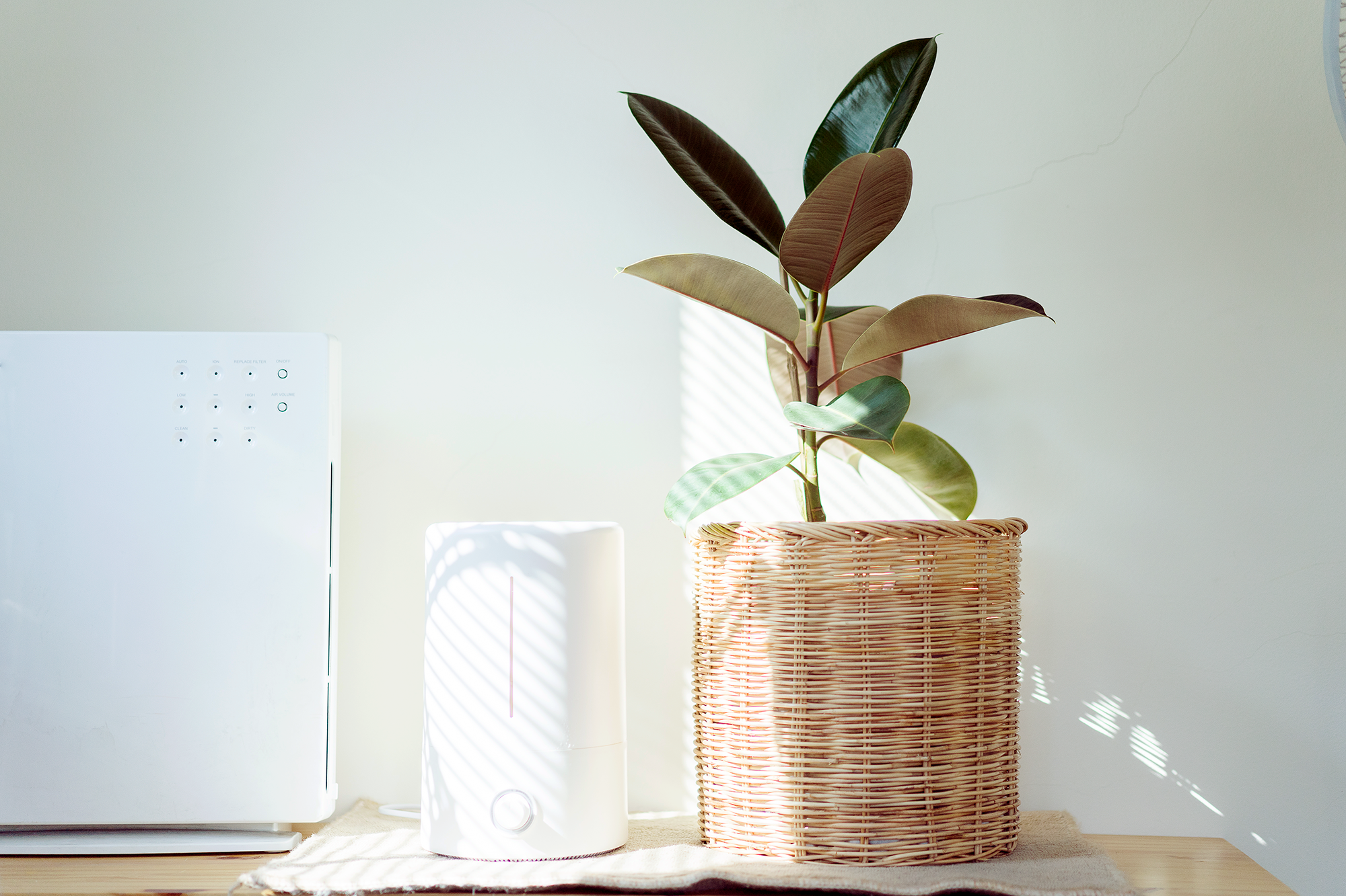 air purifiers and air filtration products