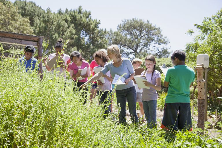 The Best Ways To Train Students With Trips To Natural Places