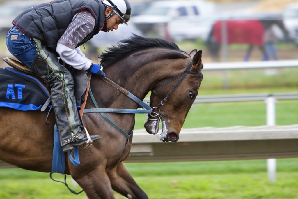 5 Surprising Facts About Horse Racing Events