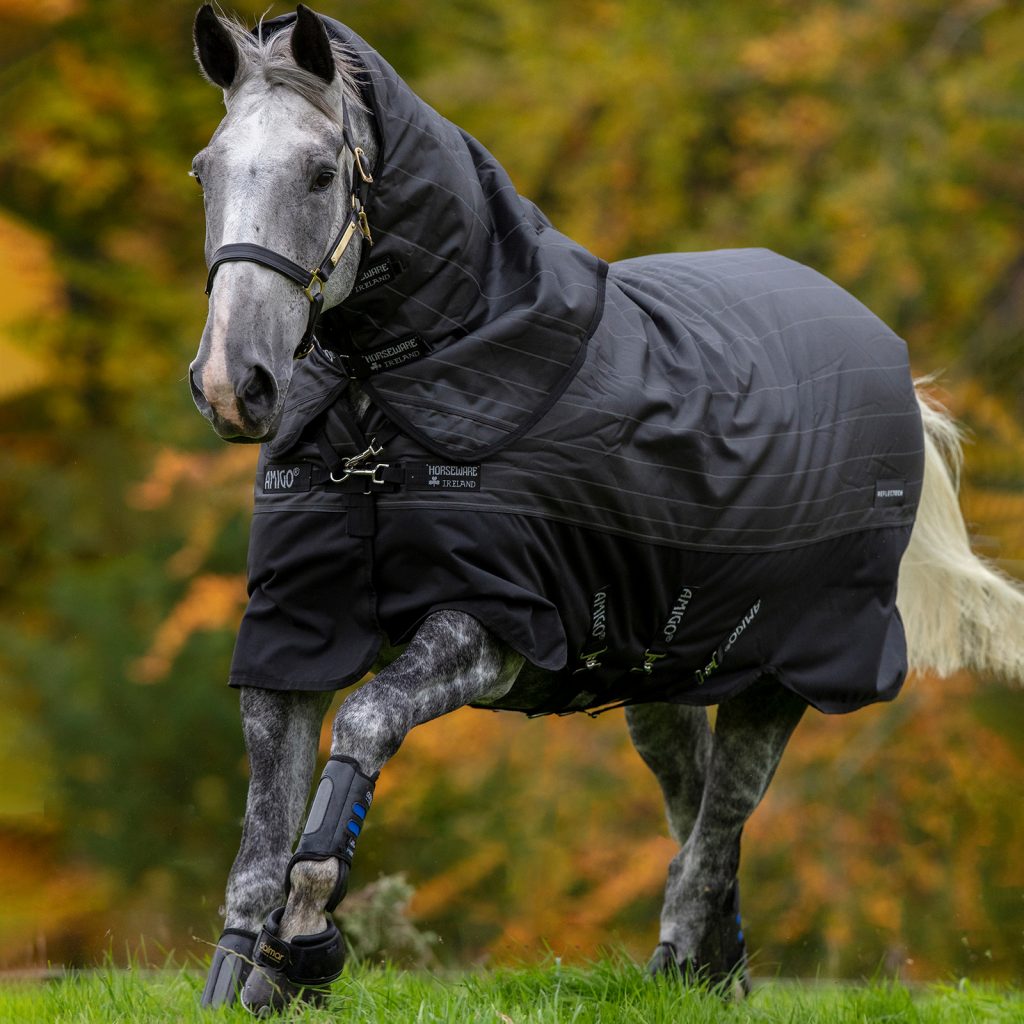 Finding The Right Size Rug For Your Horse: What You Need To Know